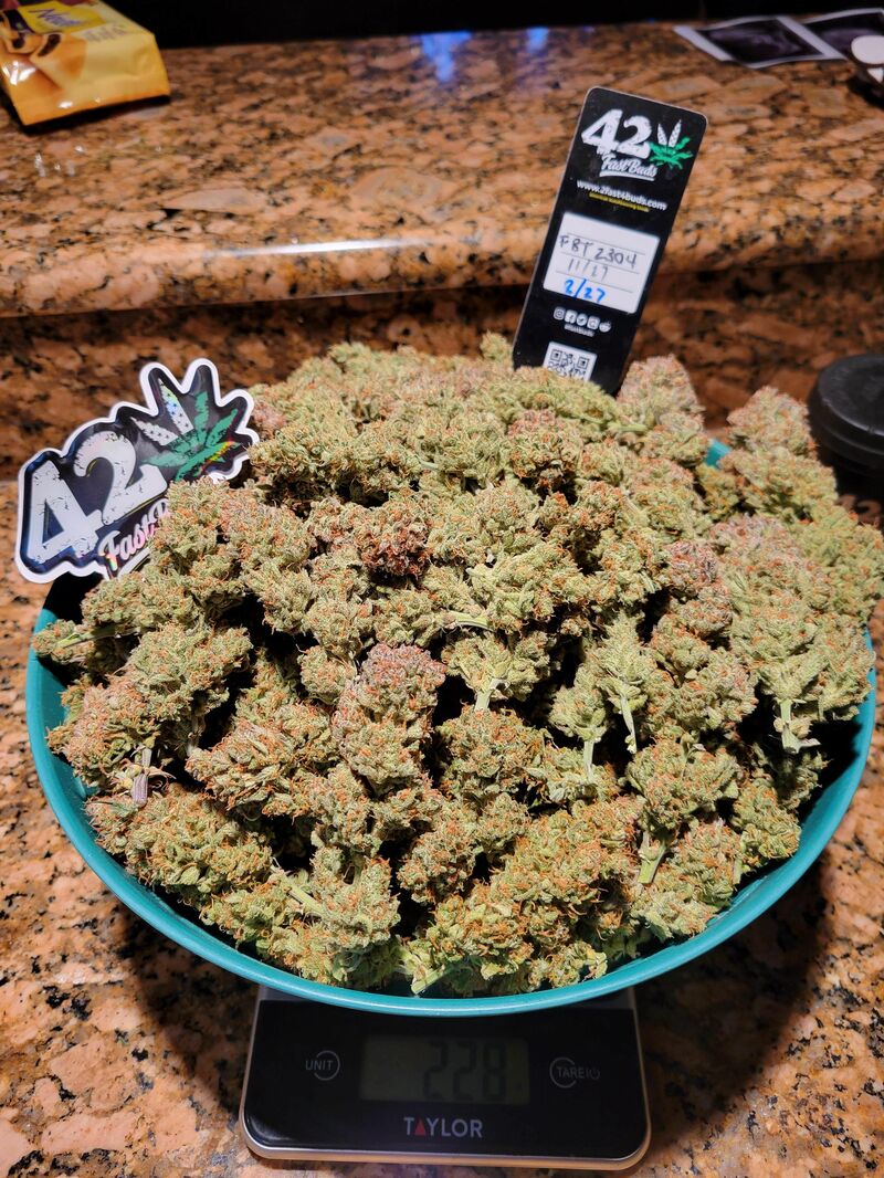 Pound Cake Auto, Фасовка: 1, изображение 40